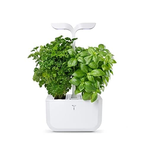Potager d'intérieur Véritable Exky Classic blanc avec ses deux mâts d'éclairage LED