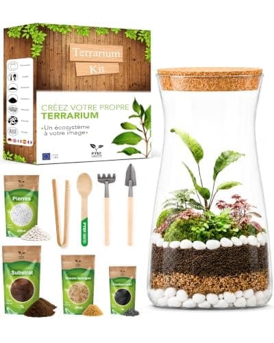 Bocal en verre à bouchon en liège entouré de terreau de coco, mousse, pierres et petits outils