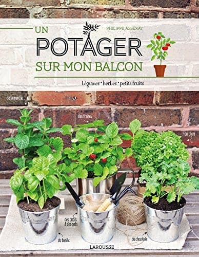 Livre Un potager sur mon balcon des éditions Larousse, couverture de face