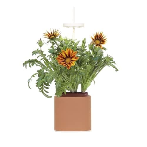 Potager d'intérieur Nano de Prêt à Pousser, de couleur terracotta, avec sa lampe