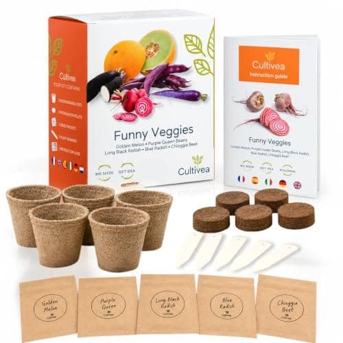 Coffret de graines bio avec cinq pots de culture, pastilles et marqueurs pour légumes originaux