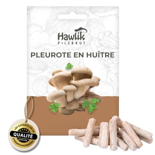 Chevilles de mycélium Hawlik Pilzbrut pour cultiver des pleurotes en huître sur paille ou sur bois
