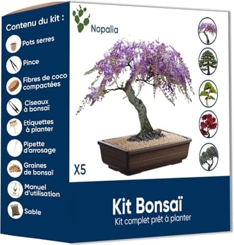 Kit Nopalia de bonsaï avec sachets de graines, pot biodégradable, ciseaux, pince et guide illustré