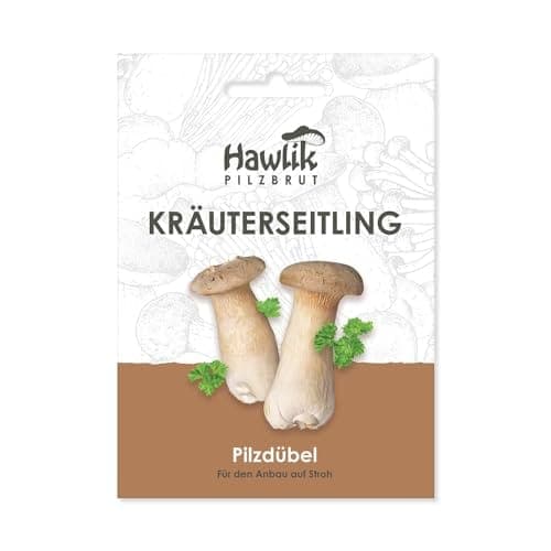 Chevilles de mycélium Hawlik Pilzbrut pour cultiver des pleurotes du panicaut sur de la paille
