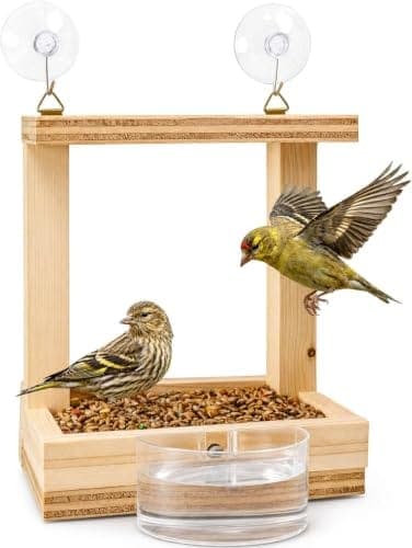 Petite mangeoire en bois en forme de maison, fixée par ventouses sur une vitre