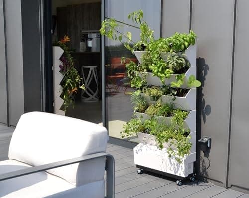 Mur végétal potager modulable composé de vingt compartiments carrés fixés à un mur