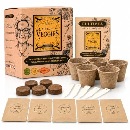 Coffret Cultivea de graines bio de légumes oubliés avec pots de culture et guide