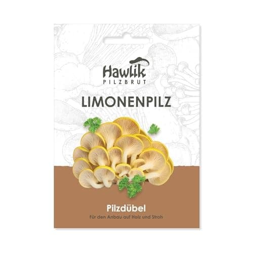Sachet de chevilles de mycélium Hawlik Pilzbrut pour cultiver des pleurotes jaunes