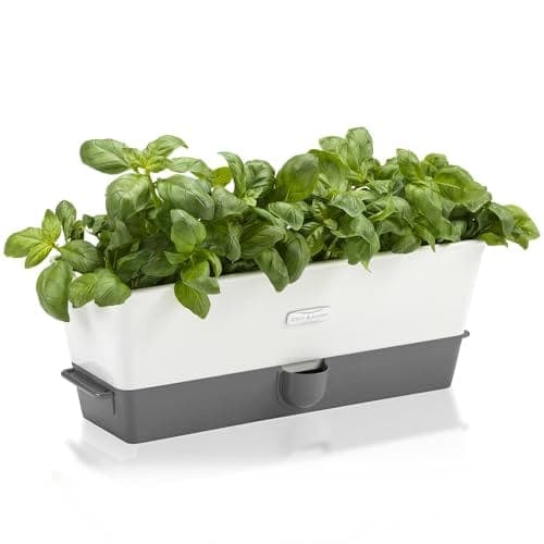 Trois pots blancs à herbes aromatiques réunis sur un même plateau auto-arrosant