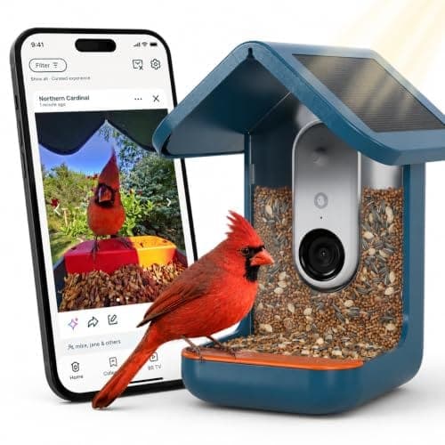 Mangeoire intelligente Bird Buddy Pro bleue, avec son toit solaire et sa caméra intégrée